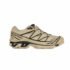Salomon XT 6 safari